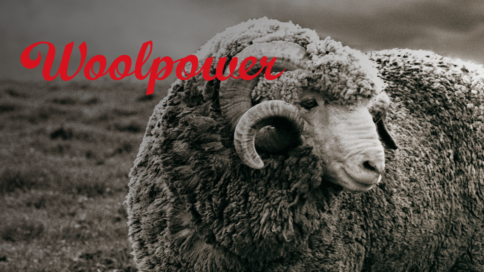 Why Woolpower Becomes Your Everyday Essential